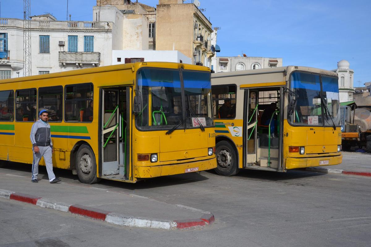 Public bus in Tunisia - intercity and local bus routes for tourists
