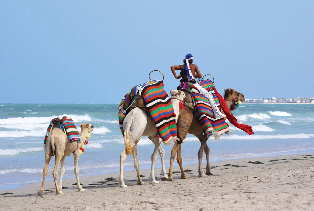 Djerba Island - panoramic view thumbnail