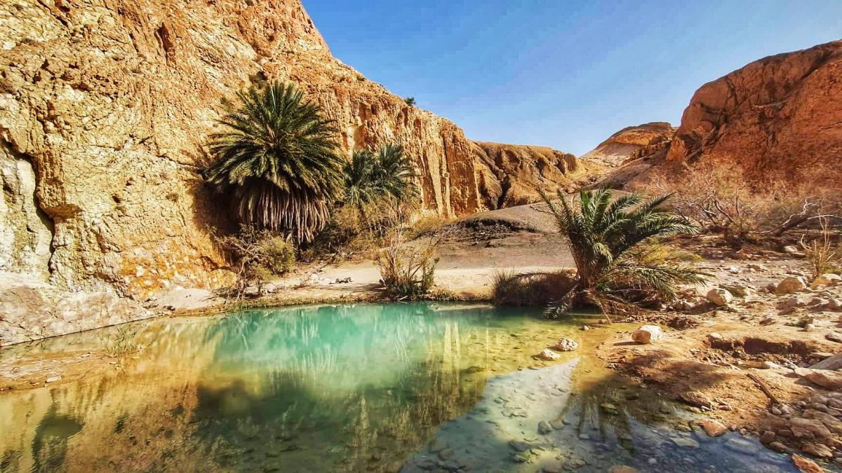 Tozeur - Tunisia